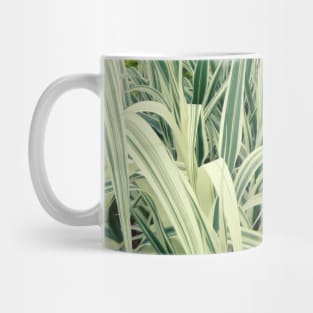 Tall Grass with White Stripes Photo Mug